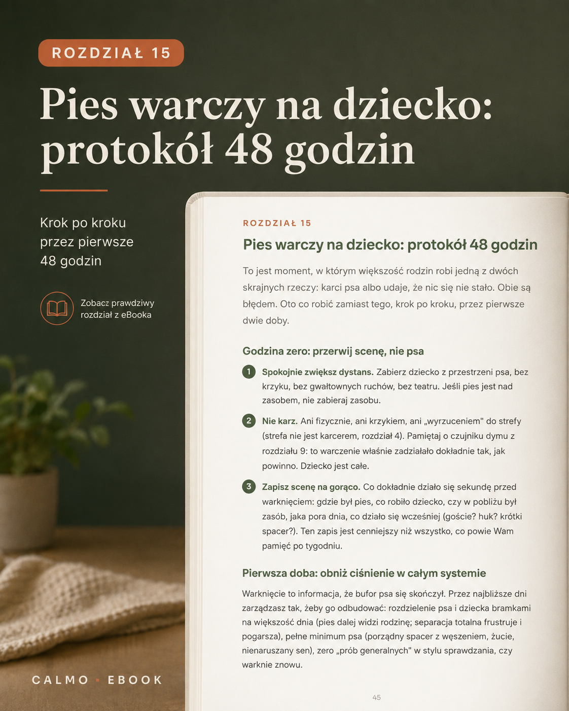 Pakiet Pies i dziecko: od ciąży do przedszkolaka