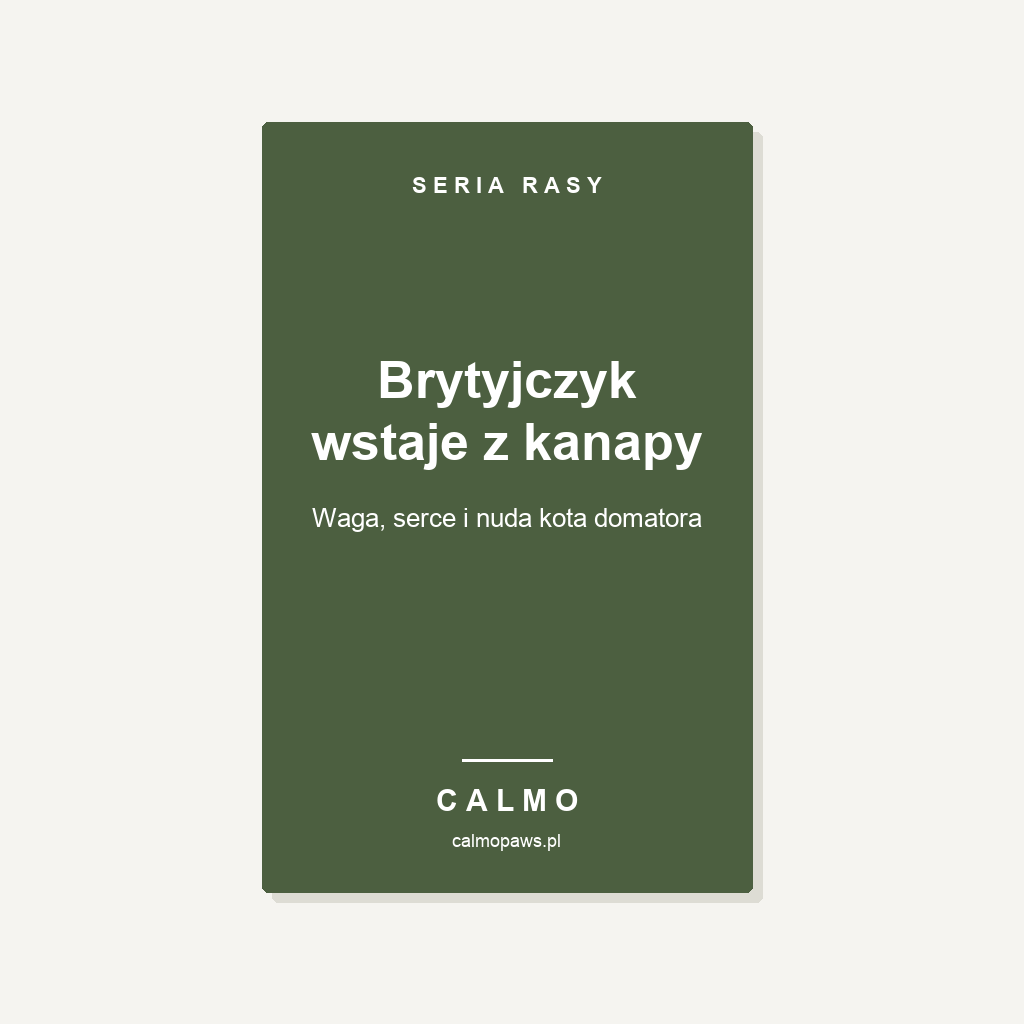 Okladka: Brytyjczyk wstaje z kanapy