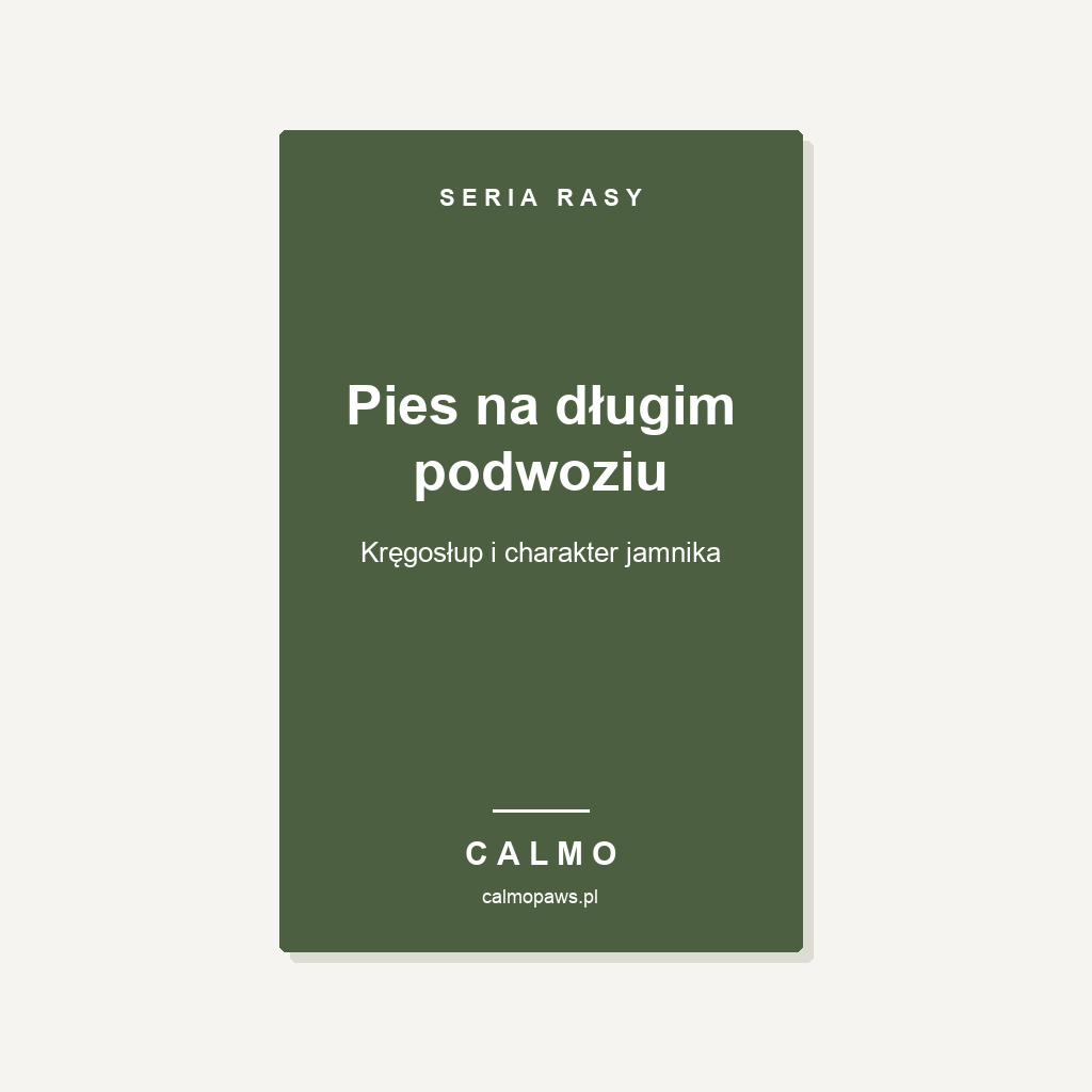Okladka: Pies na dlugim podwoziu