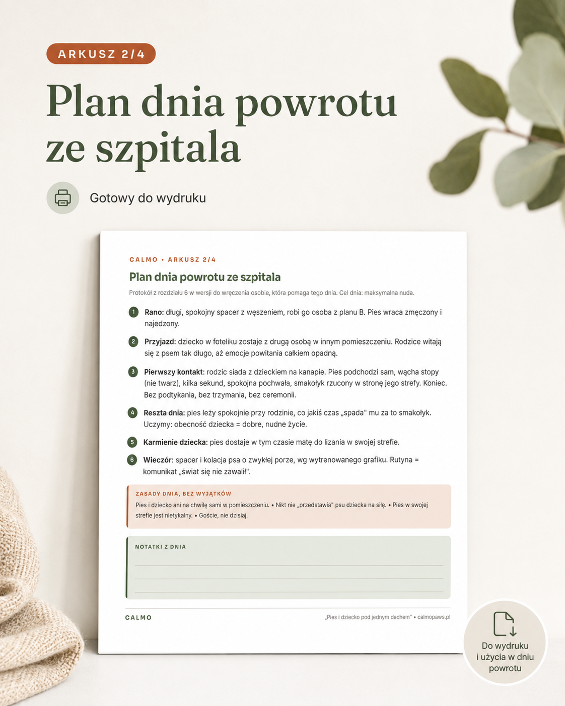 Pakiet Pies i dziecko: od ciąży do przedszkolaka