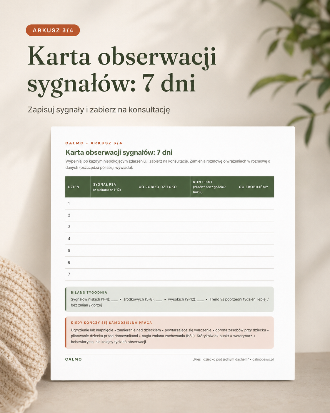 Pakiet Pies i dziecko: od ciąży do przedszkolaka