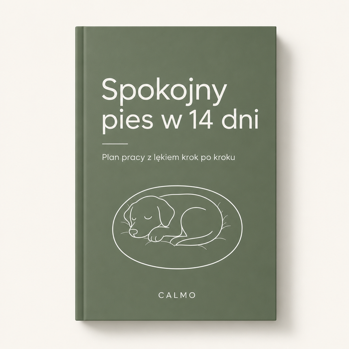Spokojny pies w 14 dni: plan pracy z lękiem