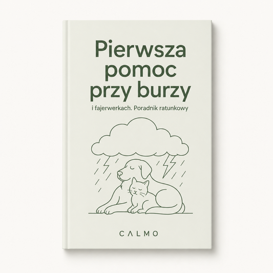 Okladka: Pierwsza pomoc przy burzy i fajerwerkach