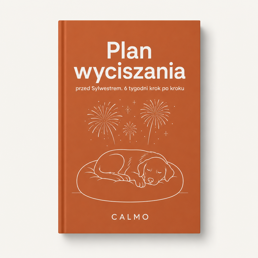 Okladka: Plan wyciszania przed Sylwestrem