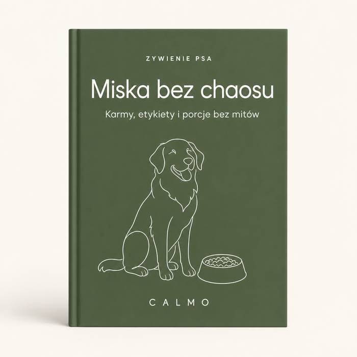 Miska bez chaosu: żywienie psa