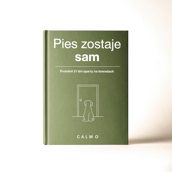 Pies płacze lub drapie drzwi, gdy zostaje sam?