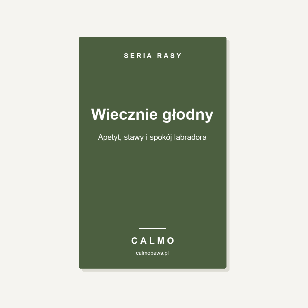 Okladka: Wiecznie glodny, labrador