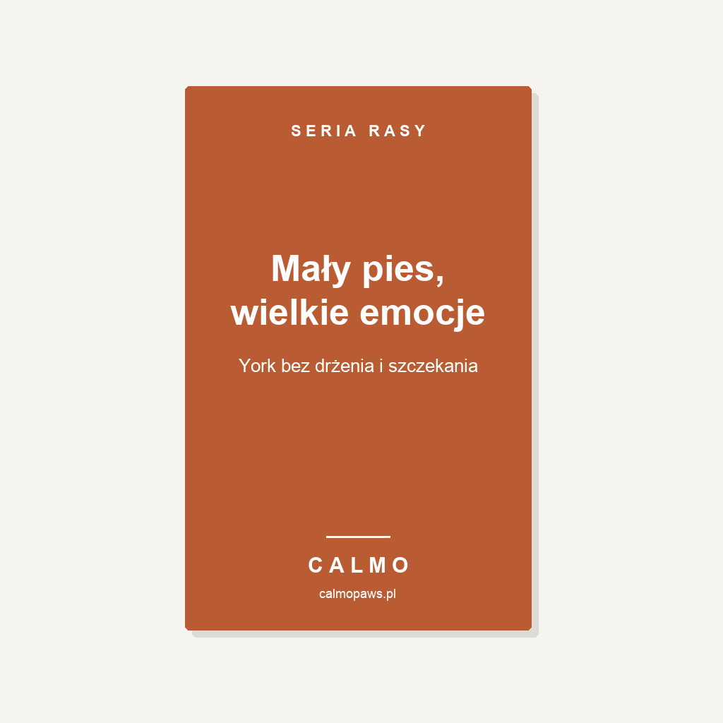 Okladka: Maly pies, wielkie emocje